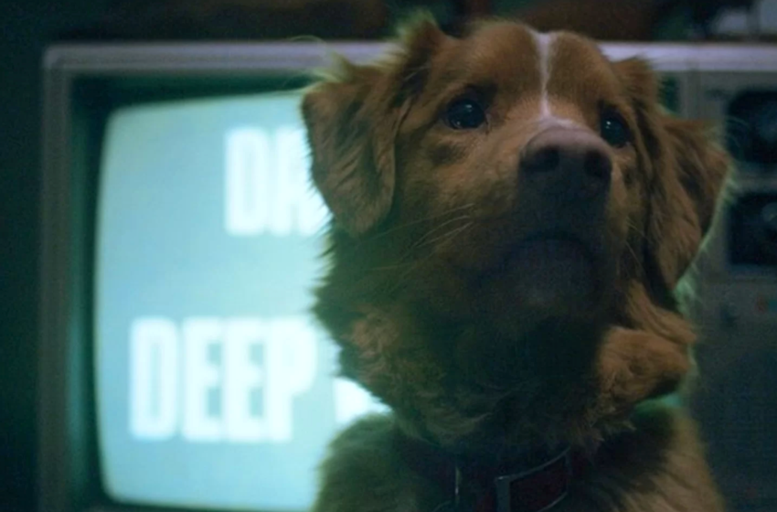 Crítica | Ele realmente é um Bom Menino!